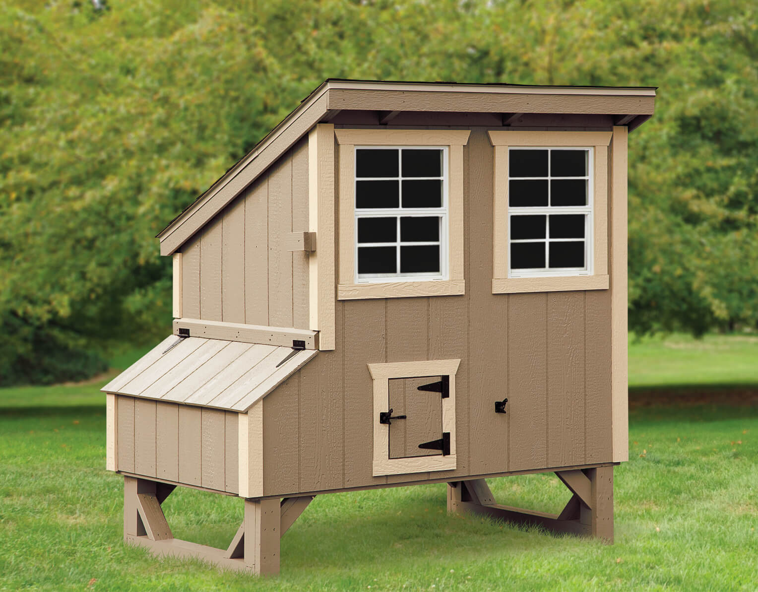 Exterior of a 4x5 Lean-To chicken coop