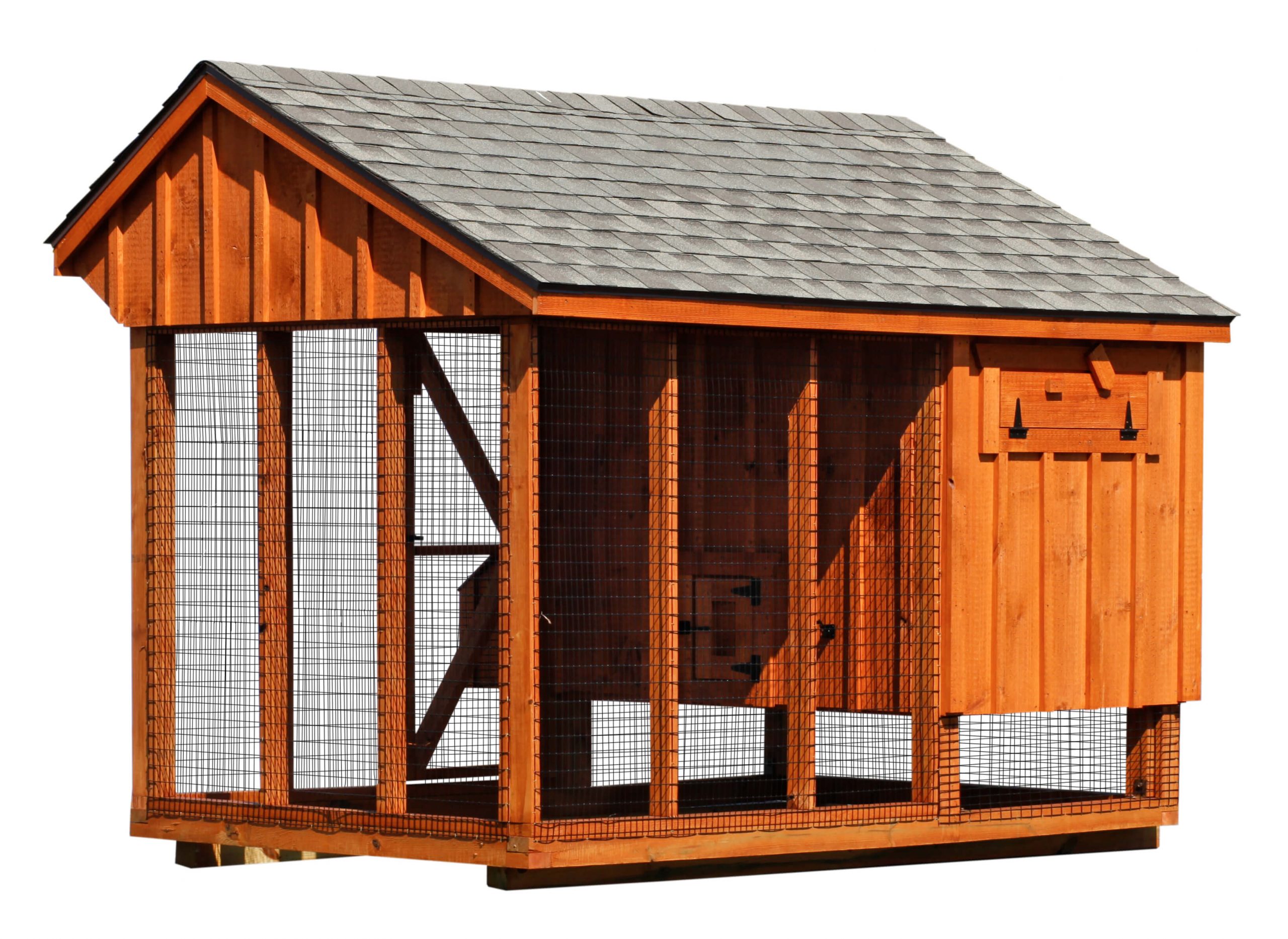 Exterior of a 6x10 Quaker Combination chicken coop