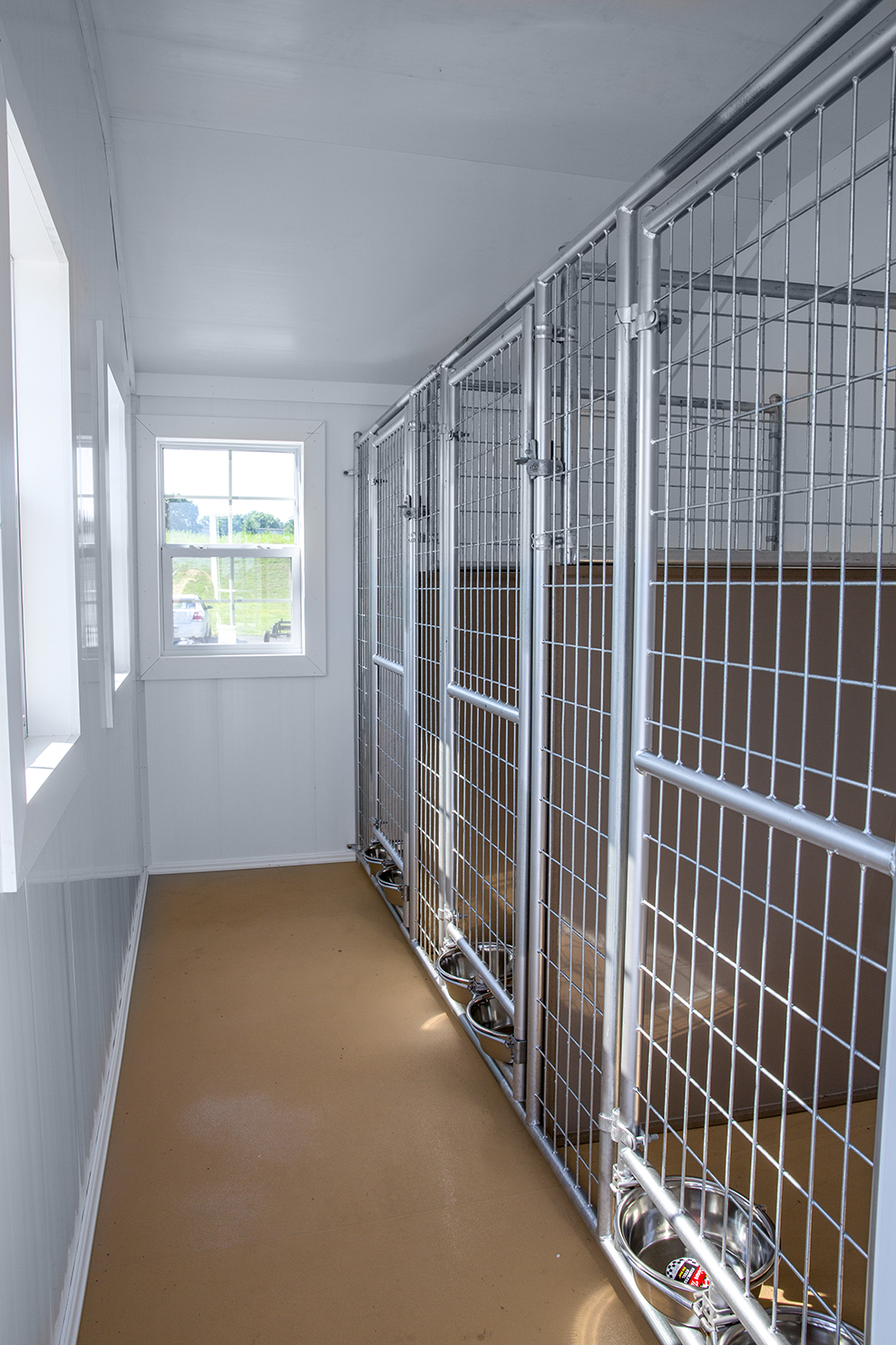 pens in kennel