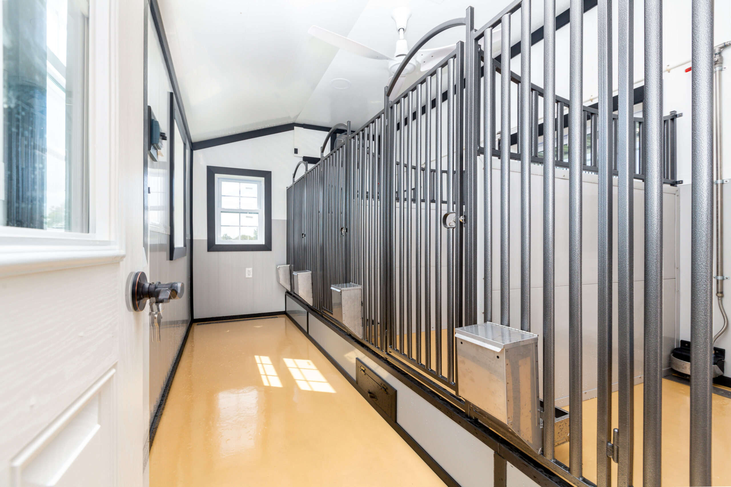 20x40 kennel interior