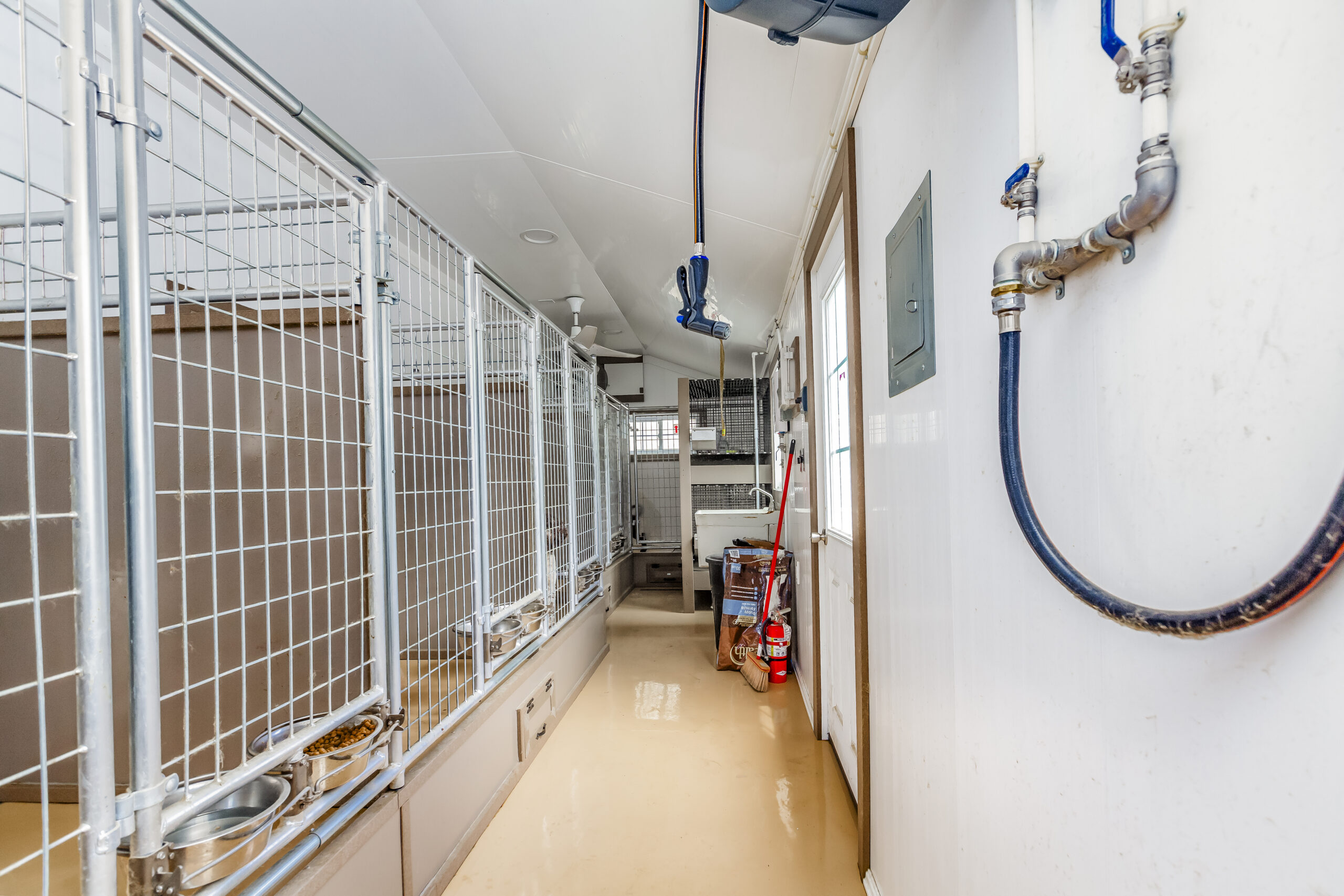 commercial kennel interior