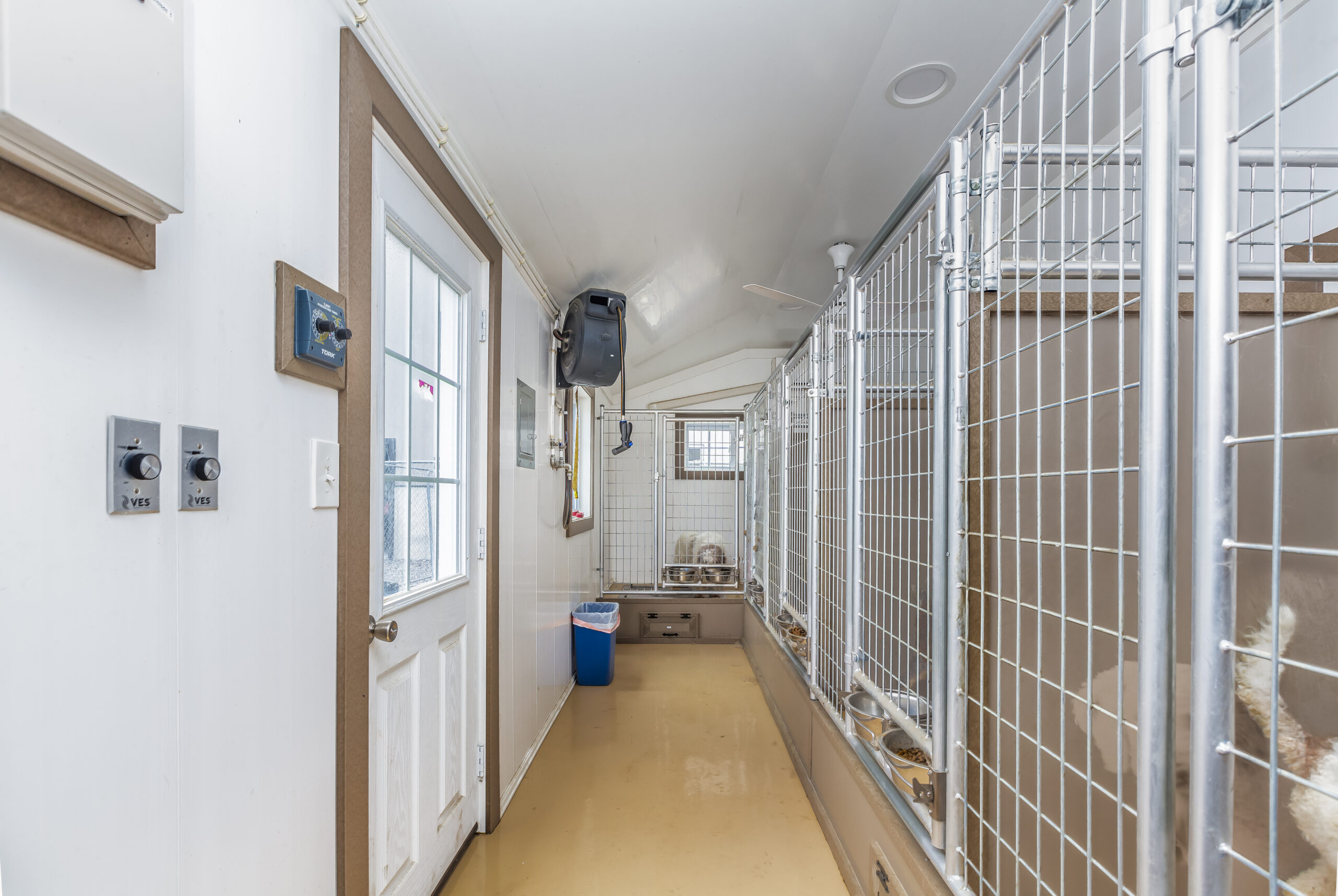 commercial kennel interior
