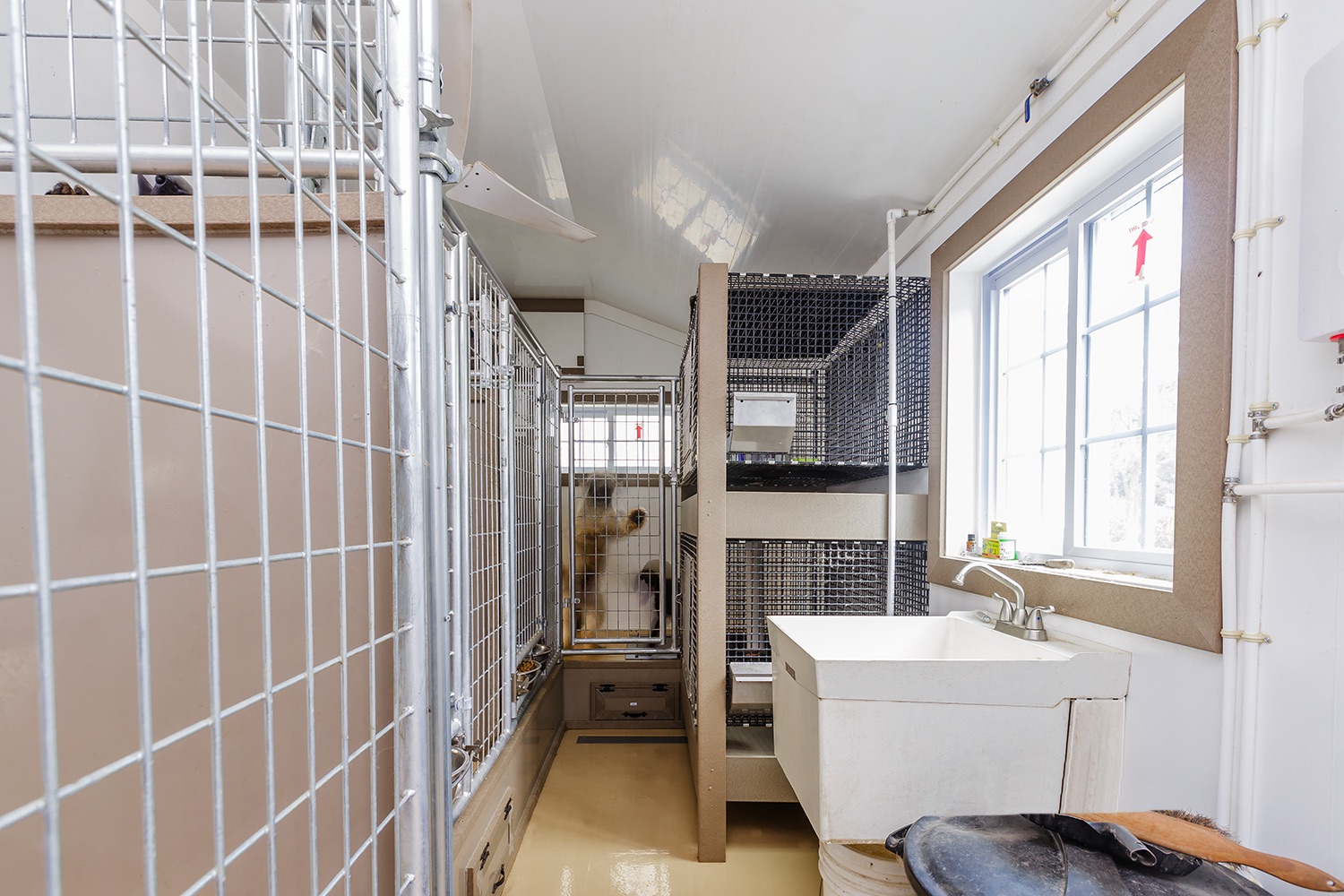 15x32 commercial kennel interior