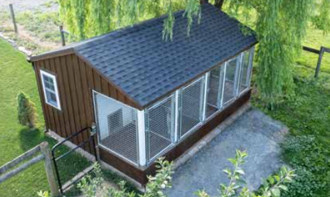 12x17 commercial kennel
