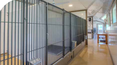 kennel interior