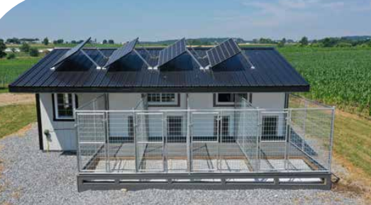 back of 30x26 commercial kennel