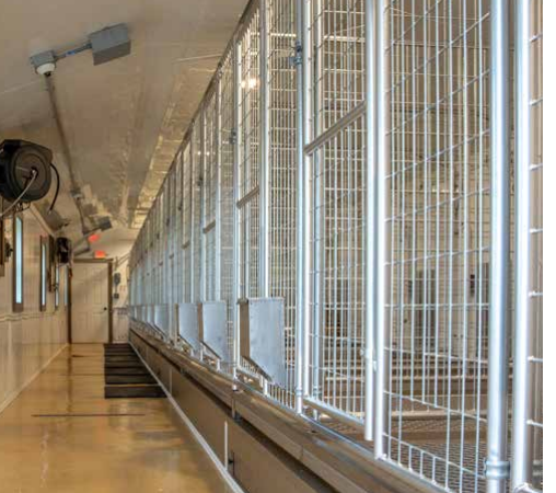 u-modular commercial kennel interior