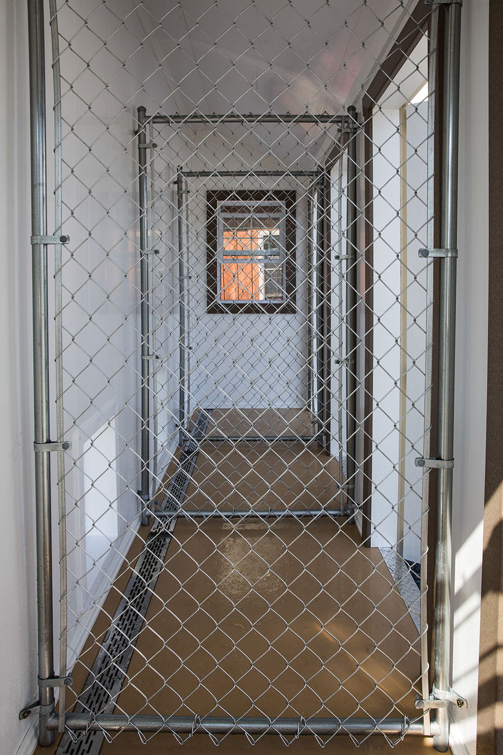 Interior of a 10x16 4 capacity kennel