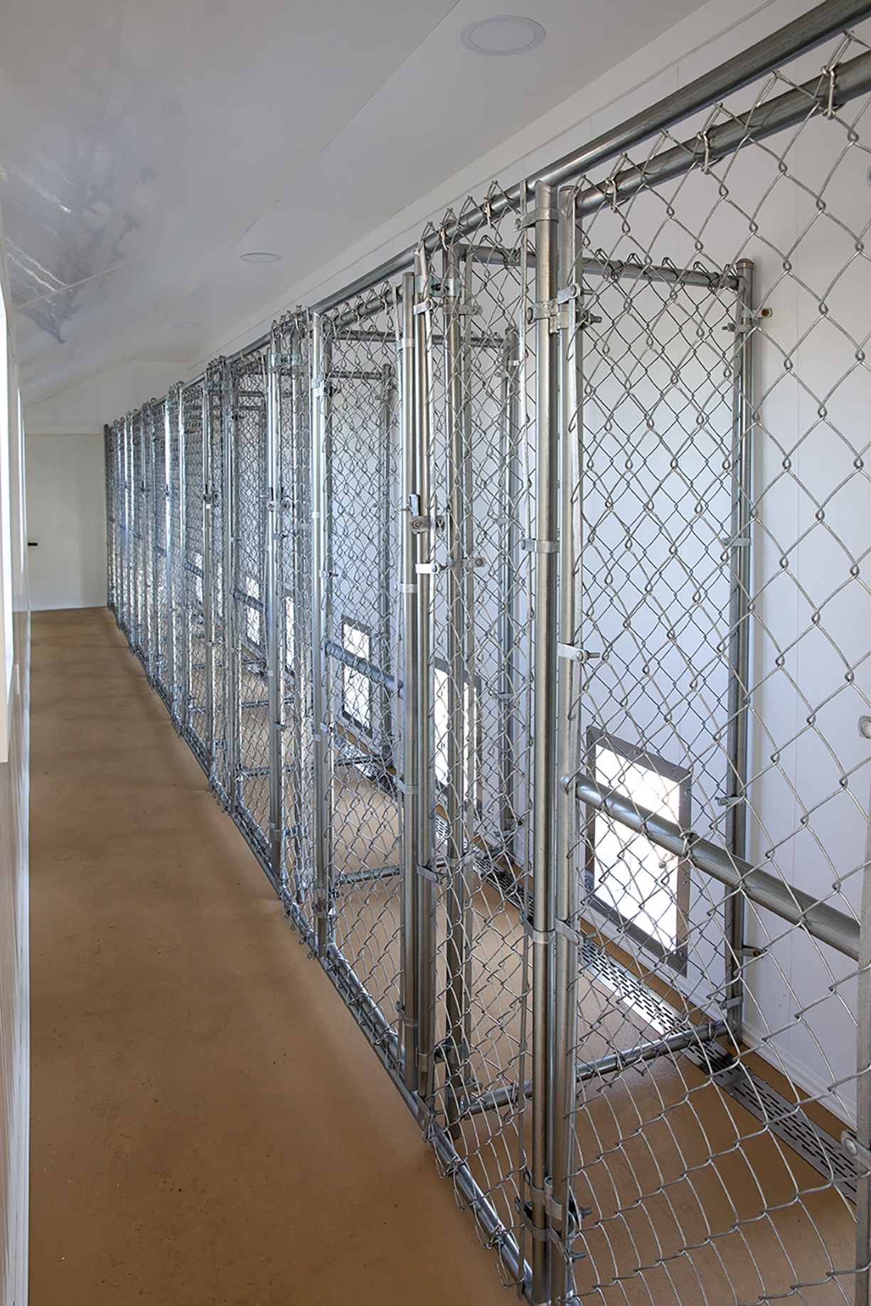 Interior of a 12x42 kennel