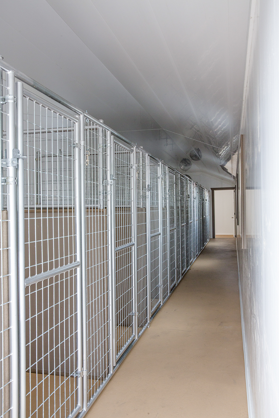 Interior of a 14x54 dog kennel with 12 boxes