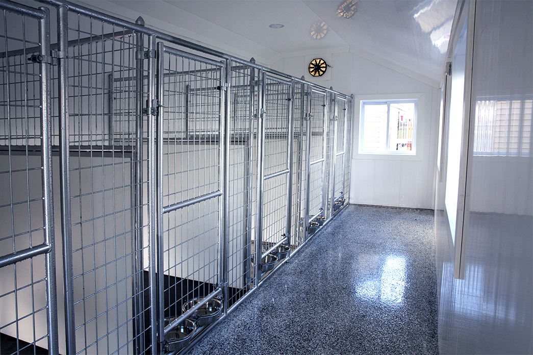 Interior of a 20x28 dog kennel