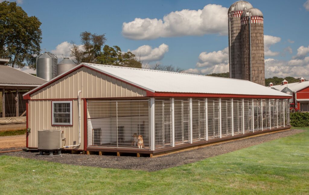 Front view of a 20x60 dog kennel with 12 boxes