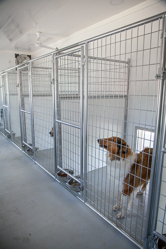 Interior of a 20x60 dog kennel