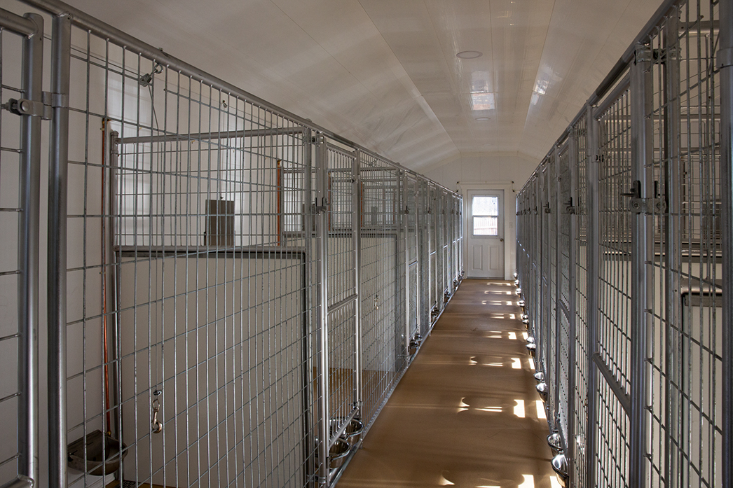 Interior of a 24x60 dog kennel