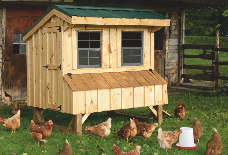 Exterior of a 4x6 Quaker chicken coop