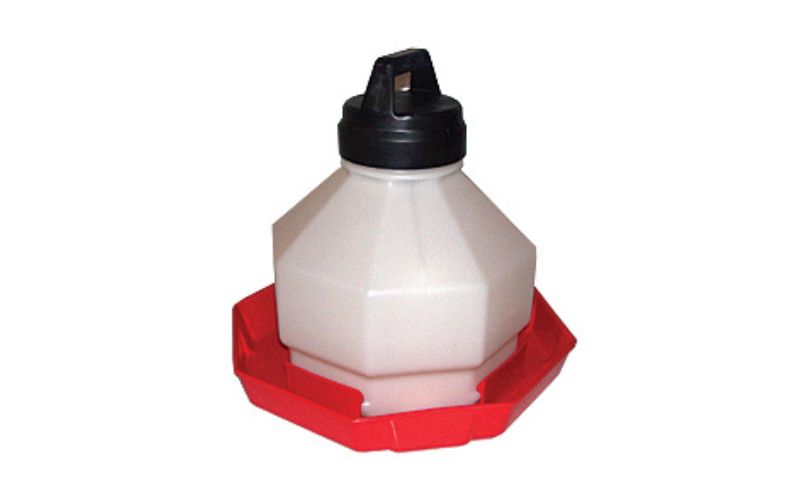Black, white, and red 3 gallon chicken coop waterer