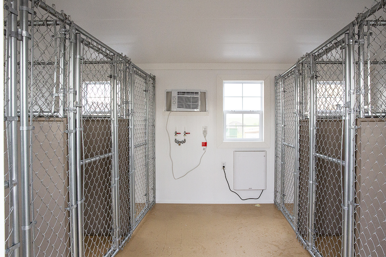 Interior of a 12x36 dog kennel