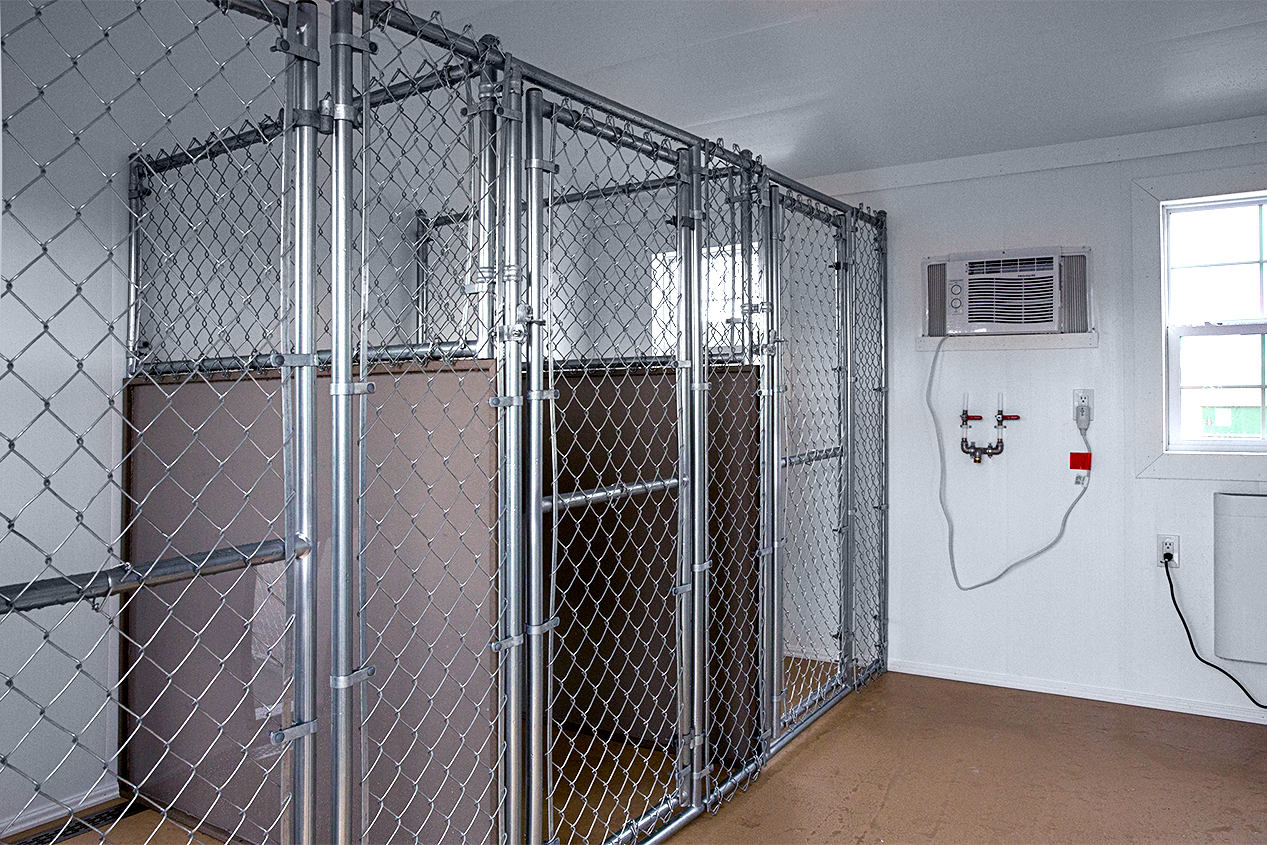Interior of a 12x36 dog kennel