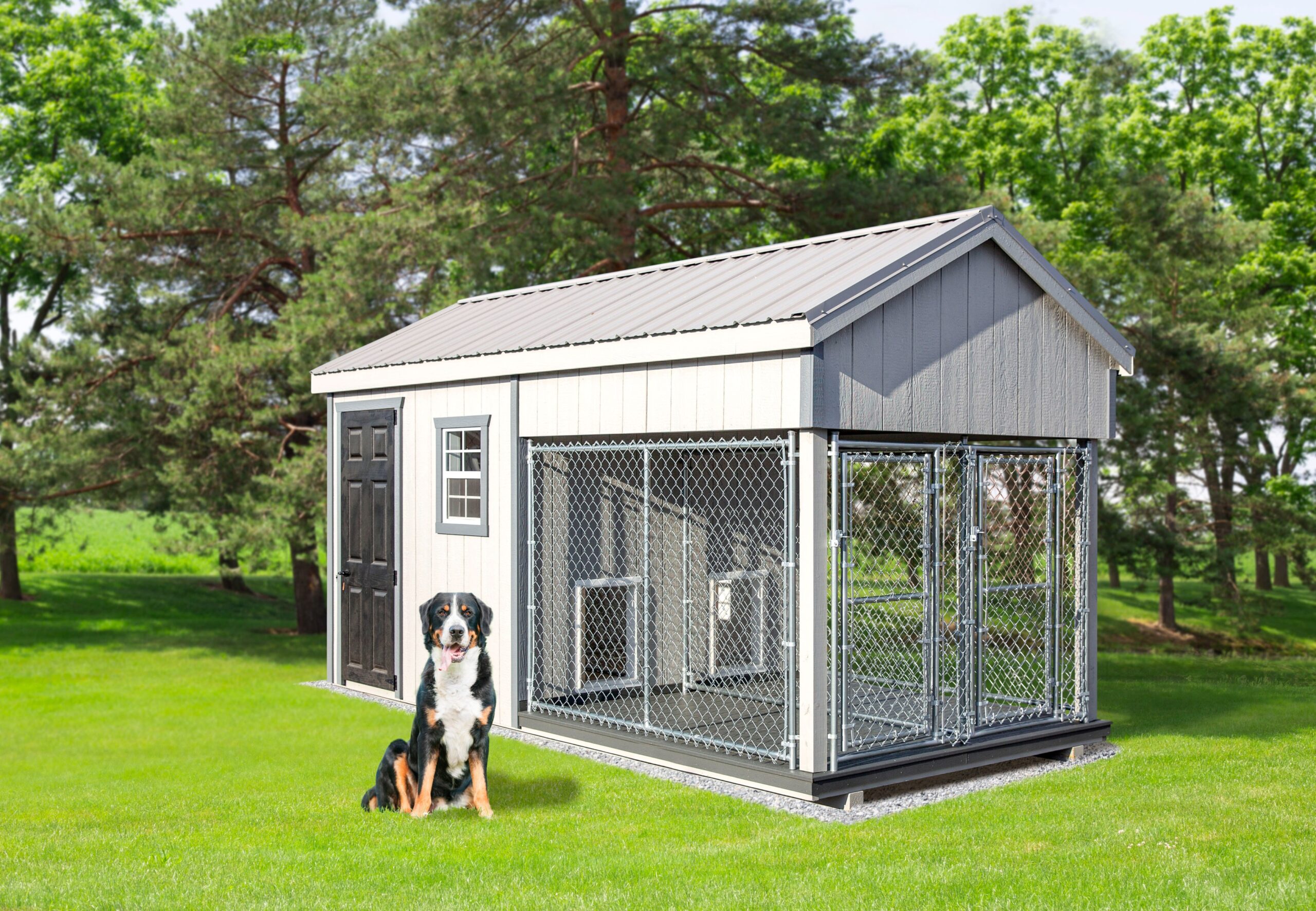 Front view of an 8x16 double capacity kennel with LP siding