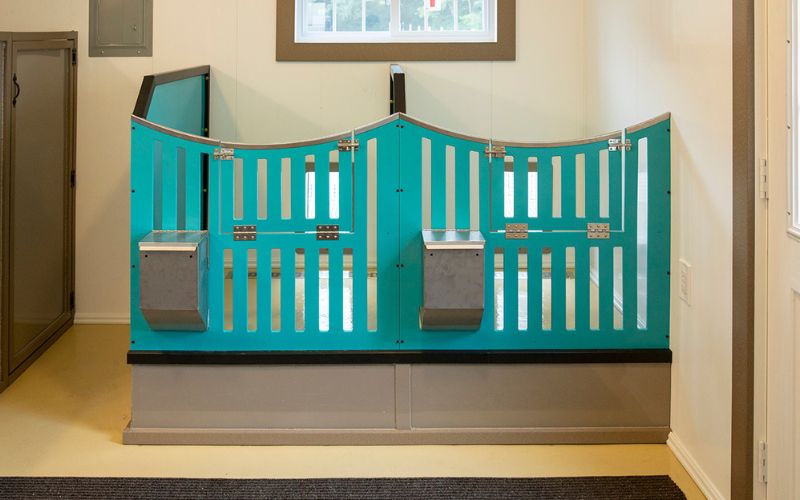 Happy pet kennel with in teal, silver, and black
