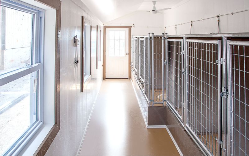 Interior of a dog kennel with raised kennel flooring