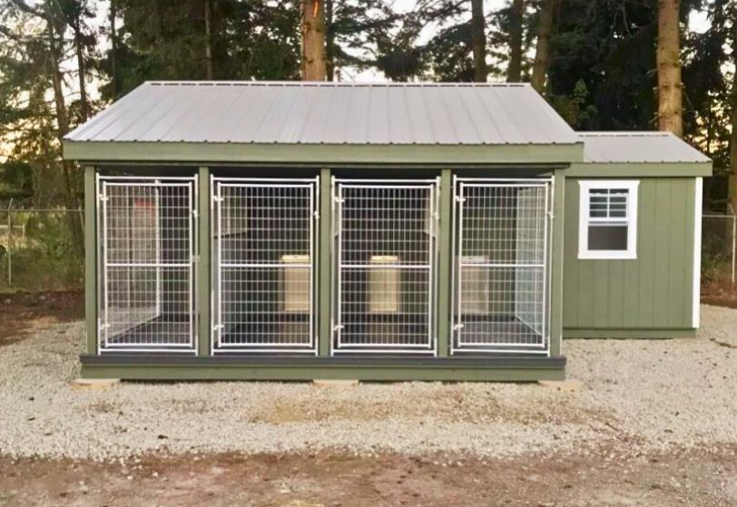 Back view of a custom 20x24 double wide commercial dog kennel with green siding and 4 dog runs.