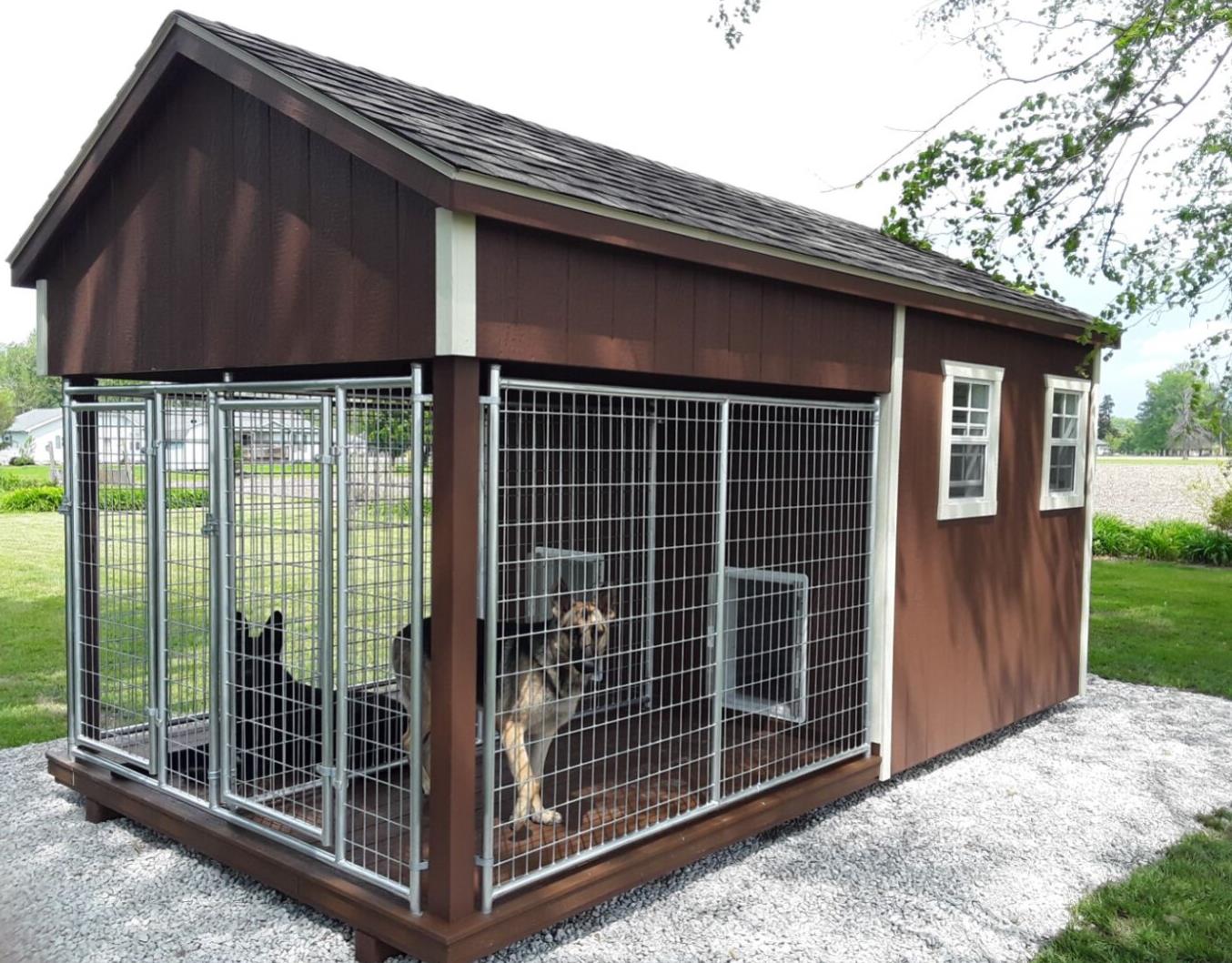 Exterior of an 8x16 two dog residential dog kennel with brown wood siding, white trim, gray asphalt roofing, 2 windows with white trim, and 2 German Shepherd dogs in 2 separate dog runs.