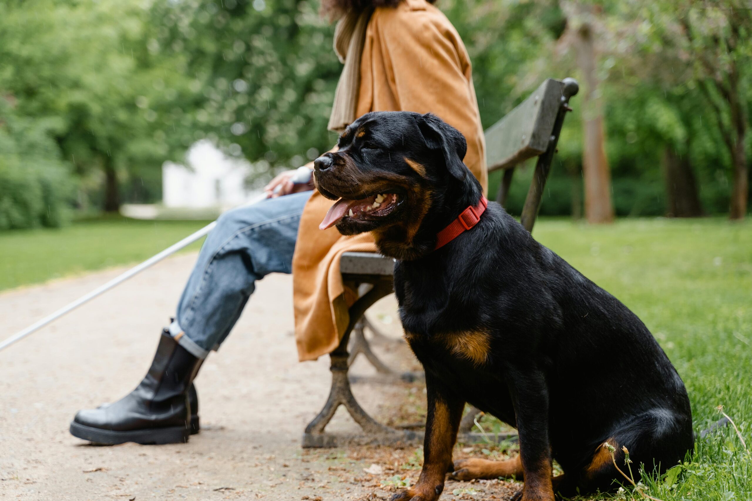 woman with brown jacket and black boots with her service dog