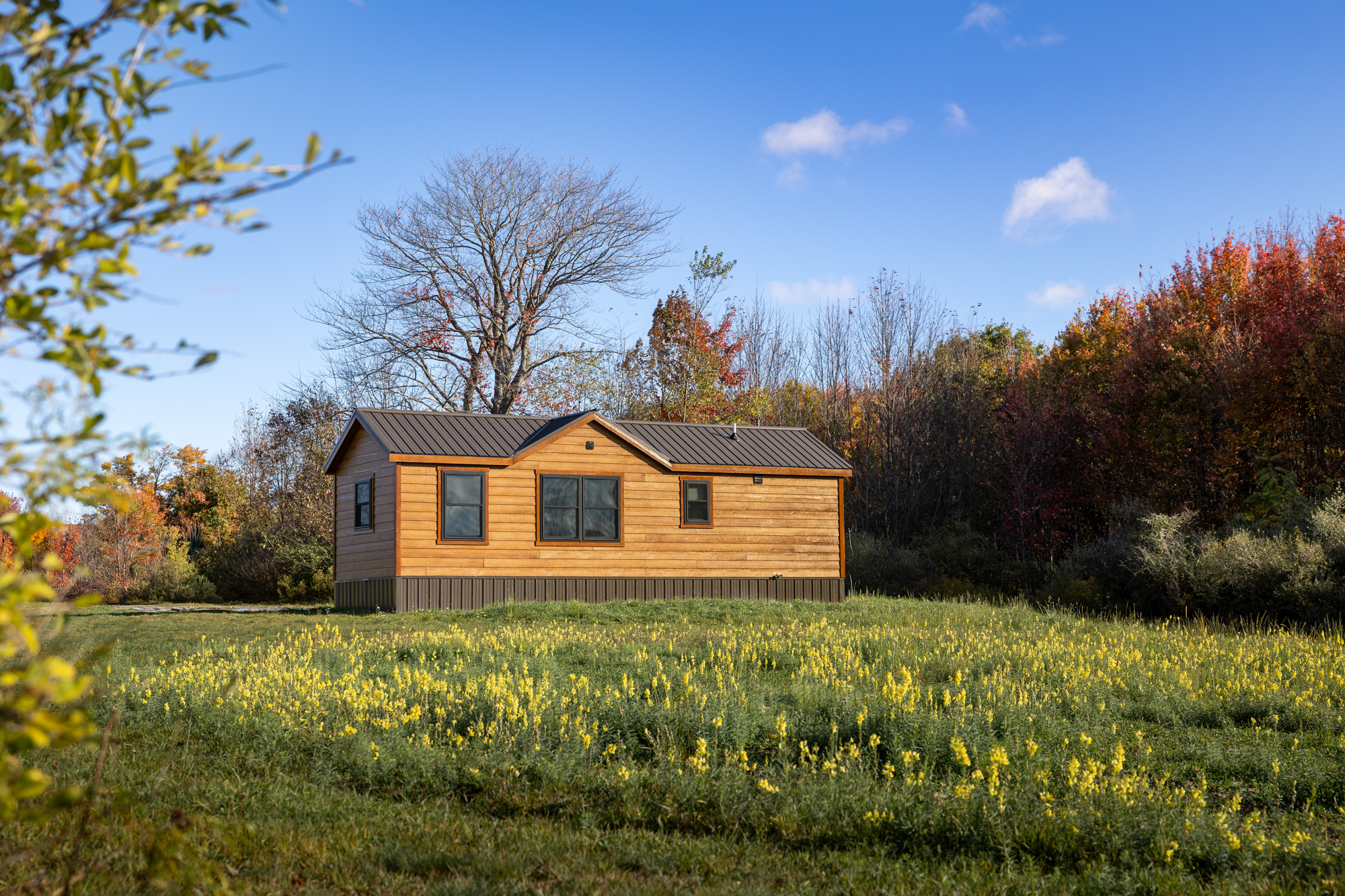 beaverdam park model exterior